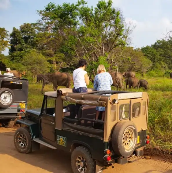 Transport Tours Vish Travel